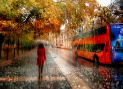 Jesień, Deszcz, Ulica, Autobus, Kobieta, Parasol