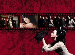 Evanescence,szpak, kobieta ,ludzie