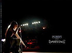 Evanescence,koncert, mikrofon