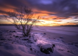 Norwegia, Zima, Śnieg, Wschód słońca
