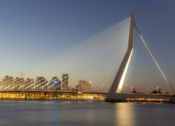 Most, Rotterdam, Holandia, Erasmus Bridge