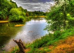 Jezioro, Park, Nostell, Anglia