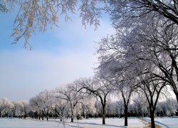 Zima, Niebo, Park, Droga, Śnieg