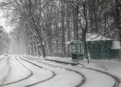 Zima, Śnieg, Tory, Przystanek, Poznań, Sołacz