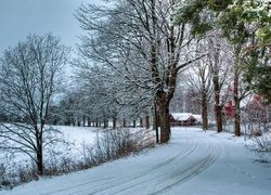 Zima, Droga, Drzewa, Śnieg, Domy