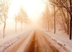 Droga, Drzewa, Mgła, Zima