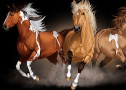Konie, Galop