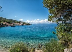 Morze, Roślinność, Chorwacja