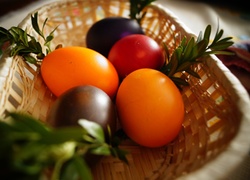 Wielkanoc, Kolorowe, Jajka, Gałązki, Bukszpanu, Koszyk