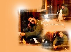 David Boreanaz,ciemne włosy, gitara