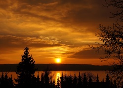 Zachód słońca, Jezioro, Drzewa