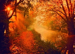 Jesień, Rzeka, Las, Promienie, Słońca