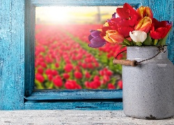 Tulipany, Kwiaty, Okno
