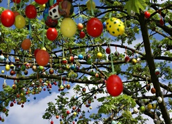 Wielkanoc, Kolorowe pisanki, Drzewo, Wiosna