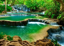 Laos, Prowincja Louangphrabang, Wodospad Kuang Si, Kaskady, Naturalne baseny, Drzewa, Las, Zieleń