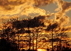 Zachód Słońca, Chmury, Drzewa