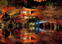 Ogród, Japonia, Światła, Noc