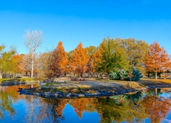 Jesień, Park, Drzewa, Jezioro