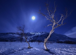 Zima, Góry, Drzewa, Księżyc