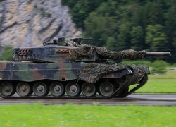 Las, Skała, Droga, Czołg, Leopard 2