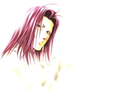 Saiyuki, postać, włosy