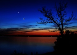 Noc, jezioro, Drzewo, Księżyc