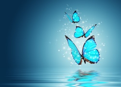 Niebieskie, Motyle