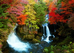 Jesień, Drzewa, Wodospady