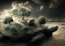 Grafika, 4D, Żółw, Drzewa, Morze