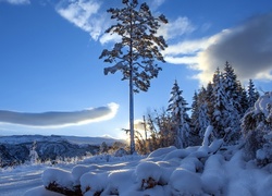 Zima, Śnieg, Drzewa, Góry