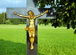 Religijne, Krzyż, Jezus, Drzewo