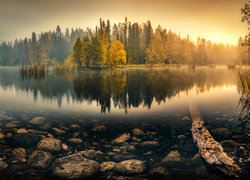 Jesień, Jezioro, Mgła, Drzewa, Kamienie