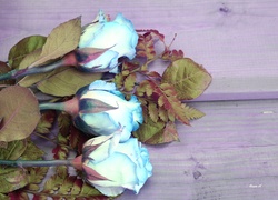 Kwiaty, Róże, Niebieskie, Bukiet, Liście