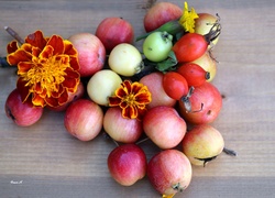Owoce, Dzikiej Róży, Jabłka, Aksamitka