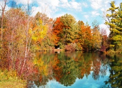 Jesień, Staw, Kolorowe, Drzewa, Odbicie
