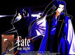Fate Stay Night, postacie, wojownik, miecz, facet, logo