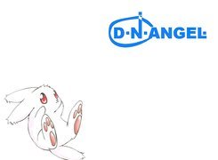 D N Angel, napis, królik