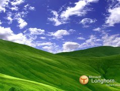 Longhorn, wzgórza, łąka, trawa, niebo, chmury