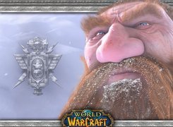 World Of Warcraft, fantasy, krasnolud, broda