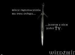 The Witcher, miecz