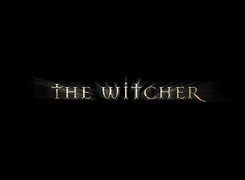 The Witcher, grafika