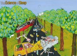 The Science Of Sleep, wypadek, kraksa, ulica, ofiary, drzewa
