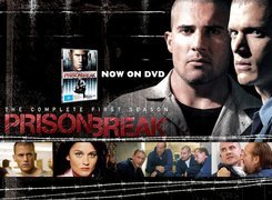 zdjęcia, Prison Break, Skazany na śmierć, Dominic Purcell, Wentworth Miller, Robin Tunney