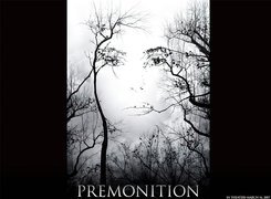Premonition, gałęzie, twarz