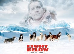 psy, góry, Eight Below, Paul Walker