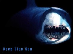 Deep Blue Sea, rekin, szczęka