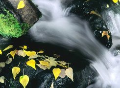 Wodospad Jesień