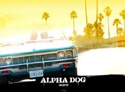 Alpha Dog, samochód, palmy