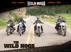 Wild Hogs, ulica, motocykliści