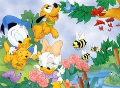 owady, kwiaty, Kaczor Donald